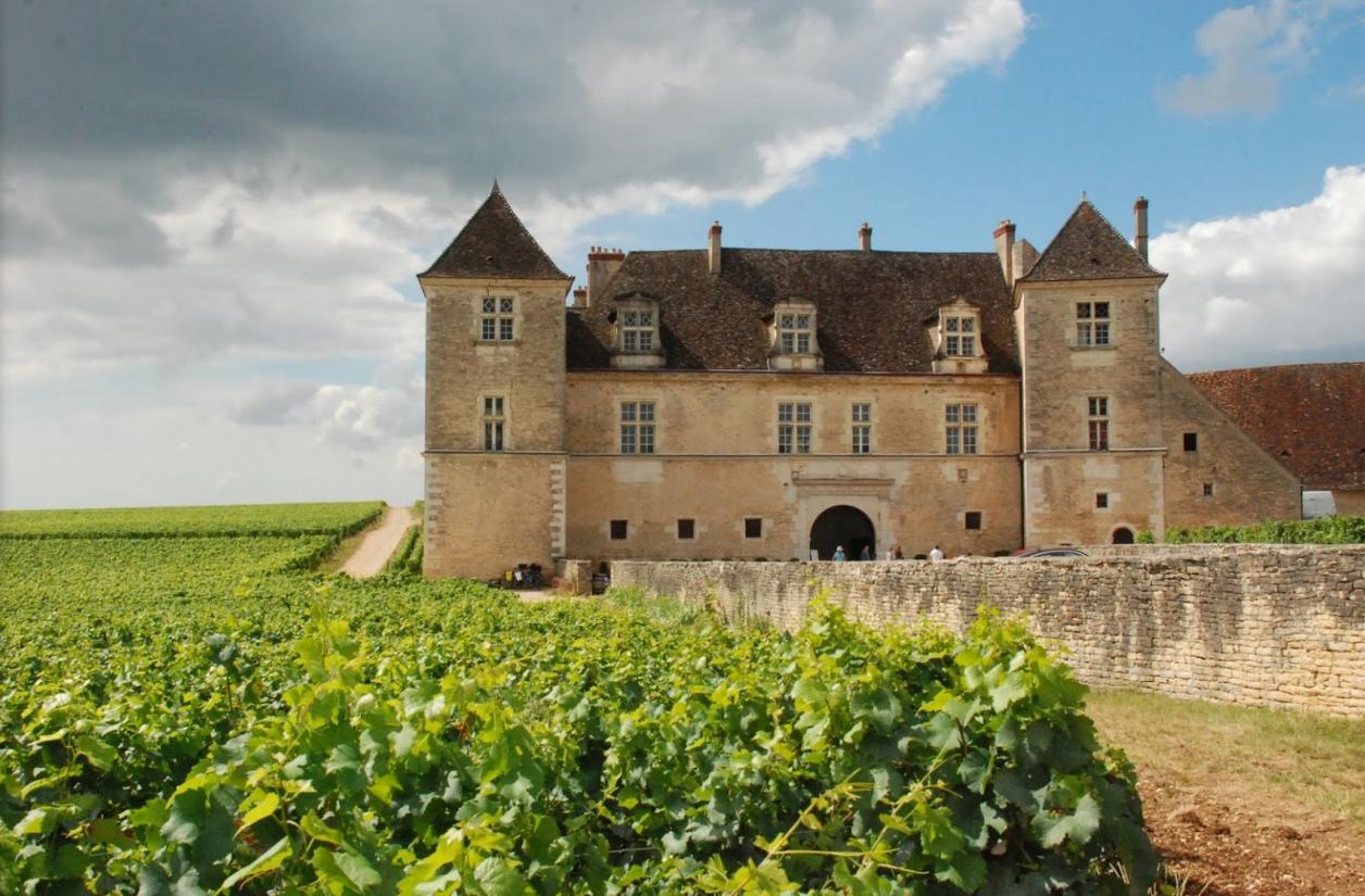 Viñedos alrededor del Château Clos-de-Vougeot (Francia), donde se producen exquisitos caldos que tendremos el lujo de poder degustar en esta visita. CRUCEROS FLUVIALES POR CANALES FINESSE EUROPEAN WATERWAYS CRUCEROS FRANCIA CRUCEROS BORGOÑA BOURGOGNE CRUISES SOUTHERN BURGUNDY CRUISES CANAL DE LA BORGOÑA CRUCEROS CRUCEROS DE LUJO CHARTER CRUCEROS CHARTER BARCAZAS PENICHE CRUISES CROISIERE BORGOGNE #Finesse #EuropeanWaterways #CruiseBarge #BargeCruises #HotelBarge #Barcazas #Crucerosdelujo #CrucerosFrancia #CrucerosCanales #FinesseCroisieres #FinesseCruises #CrucerosPrivados #AlquilerBarcos #Charter #Crucerosenfamilia #CrucerosenGrupo #CrucerosEuropa #EuropeanCruises #ChateauClosdeVougeot